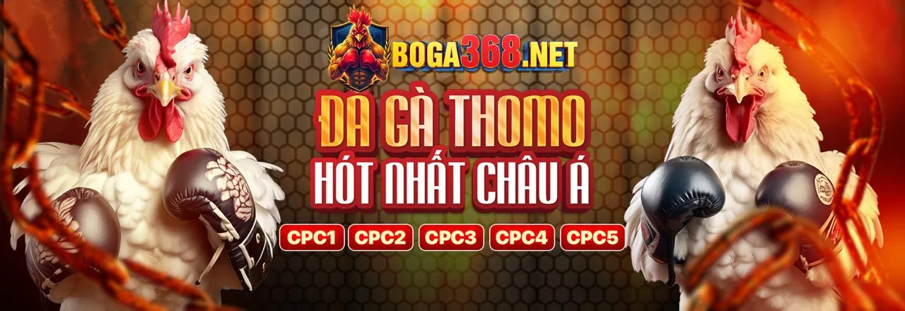 Cá Cược Thể Thao KC6