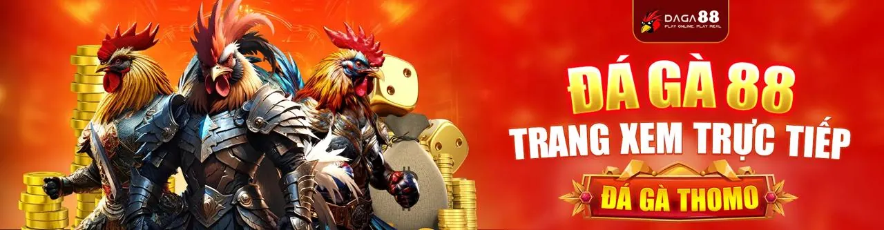 Đá Gà Trực Tuyến KC6 Chính Thức